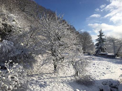 Winterlandschaft © energie-fachberater.de